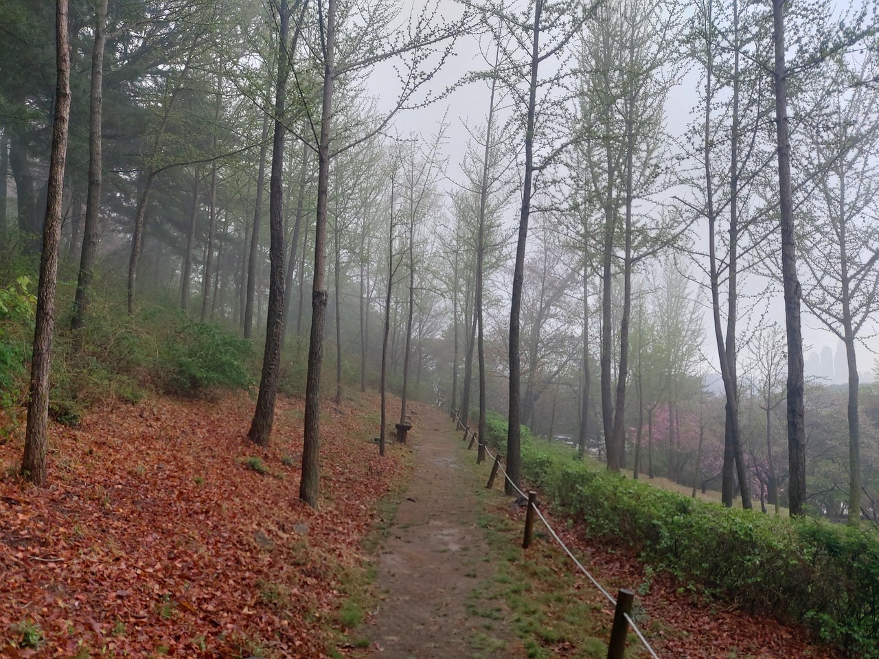 Threesomes 101: A Chill, Beginner Friendly Guide