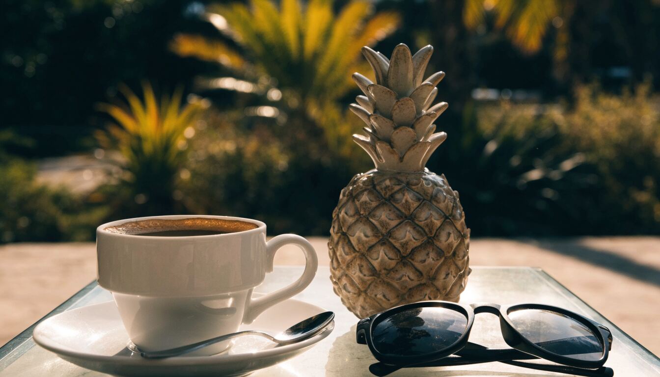The Surprising Journey of the Upside-Down Pineapple: From Warm Welcomes to Secret Signals