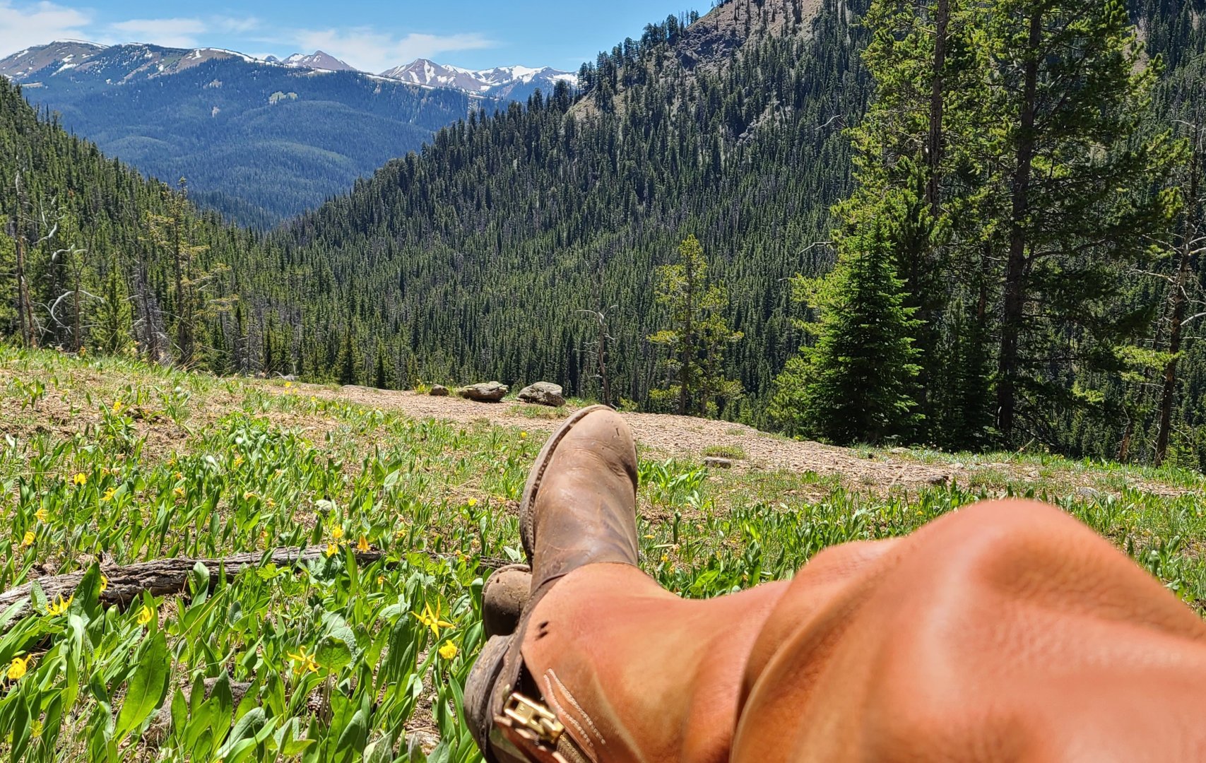 MountainMan801